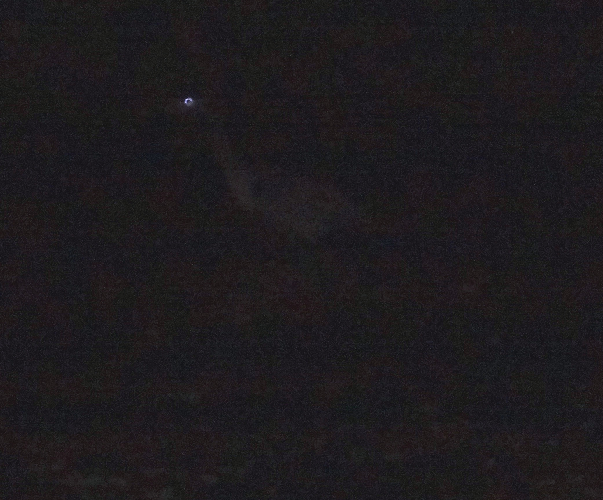 ./DSC00767 Heron at The Haunt - trimmed.JPG